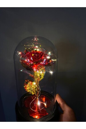 LED-beleuchtetes Infinity-Rosenglas, Geschenk, Rosen-Terrarium 12214522 - 5