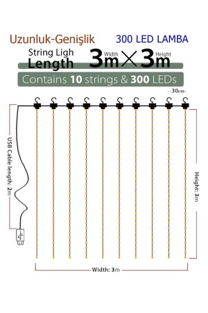 LED-Vorhang-Licht für Hochzeit, Party, Zuhause, Garten, Schlafzimmer, beleuchteter Vorhang, 300 LEDs, 3 x 3 m, Fernbedienung, RDNLED4 - 9