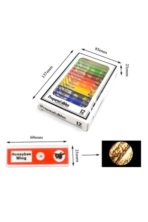 Lehrmikroskop-Set, Zoom 100x, 400x, 1200x, mit LED-Licht + 12 biologische Proben als Geschenk - 7