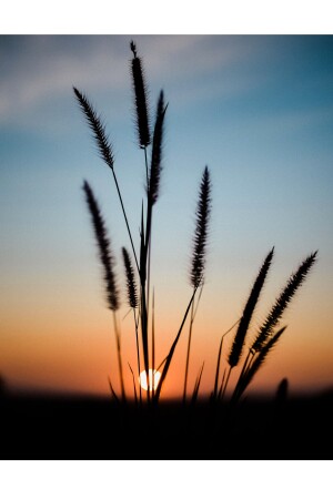 Leinwandgemälde „Natur und Sonnenuntergang“, 3er-Set DGAVEGNBT0129 - 6