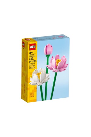 Lotus Çiçekleri 40647 - 1
