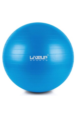 LS3222 55 cm Anti-Burst-Pilatesball + Pumpe LS3222-t - 1