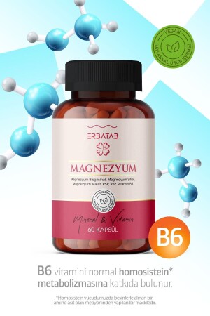 Magnesium 3-teilige Form (BISGLICINAT-CITRAT-MALAT) & Vitamin B2 - B3 - B6 - 60 Kapseln - 6