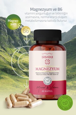 Magnesium 3-teilige Form (BISGLICINAT-CITRAT-MALAT) & Vitamin B2 - B3 - B6 - 60 Kapseln - 8