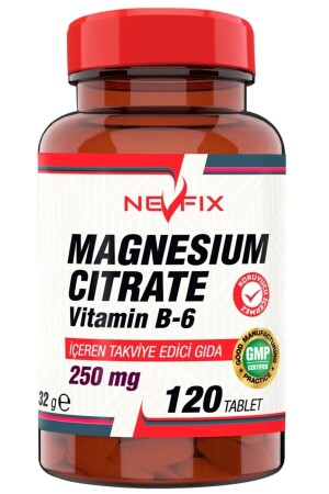 Magnesium Citrate Magnezyum Sitrat 250 Mg Vitamin B6 10 Mg 120 Tablet - 1