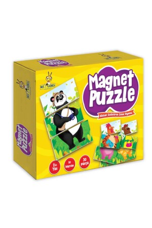 Magnet Puzzle Dikkat Geliştiren Zeka Oyunu - 1