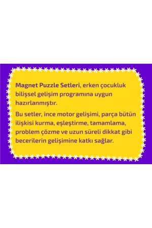 Magnet Puzzle Dikkat Geliştiren Zeka Oyunu - 5