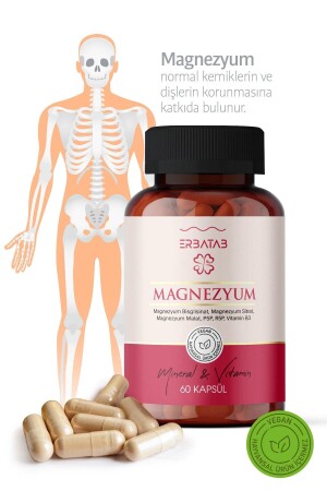 Magnezyum 3 Lü Form (BİSGLİSİNAT- SİTRAT- MALAT) & Vitamin B2 - B3 - B6 - 60 Kapsül - 6