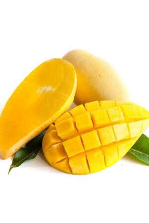 Mango Konservesi Tropikal Meyve 425 G* 2 Adet - 6