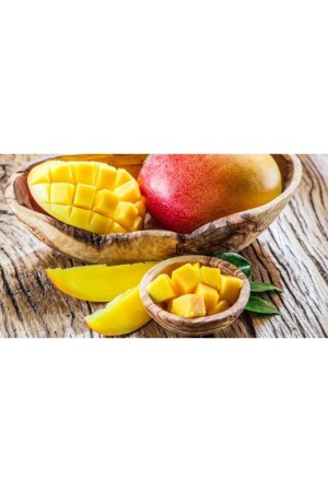 Mango-Tropenfrüchte in Dosen 425 G* 2 Stück - 4