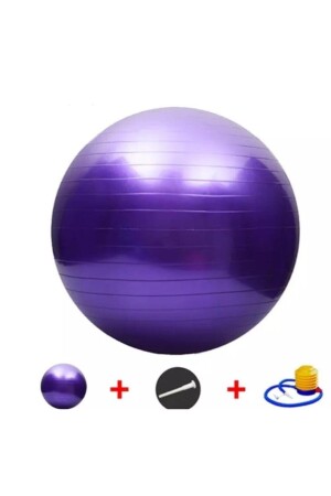 Markenimportierter violetter Pilates-Ball, 65 cm, Anti-Burst-Pilates-Ball, kabelgebunden, ZP301 - 1