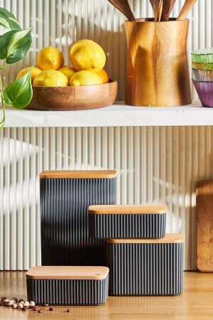 MNZ-Massimo 4 قطع جرة/حاوية تخزين مجموعة أنتراتيت 153 09. 01. 0576 - Karaca