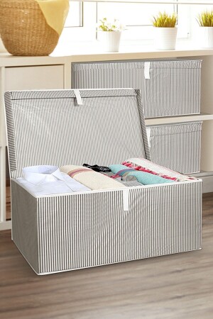 Maxi Box Aufbewahrungstasche 50 x 40 x 30 cm (GRAU) Nkh600 - 2