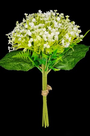 المنتج المُصطنع النفخة الزفافات الزفافات الزفافات الزفافات البلاستيكية الشجرة الوردة الجافة الزهور المنزلية - Md Aspiz Flowers