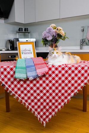 Mehrzweck-Tischdecke und Picknickdecke mit kariertem Gingham-Muster - 1