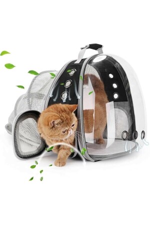 Mesh zu öffnende erweiterbare faltbare transparente Astronaut Katze Hund Haustier Tier Tragetasche cat1 - 1