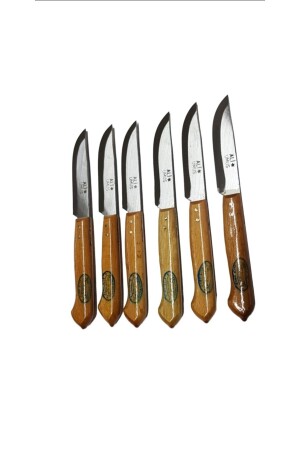 Meyve Bicak Seti En Uygun Kaliteli 6 Li Ahşap Sapli Meyve Bicagi_kitchen Knife Sunumluk Hediyelik 839003837 - 2