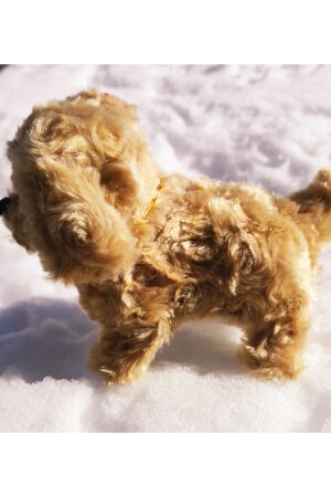 Milchkaffee gehender bellender niedlicher batteriebetriebener Plüschhund F355 - 5