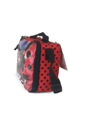 Miraculous Ladybug und Cat Noir Lunchbox PRA-5823585-5399 - 3