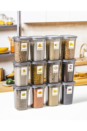 حاوية تخزين الغذاء من MNZ مع علامة المنظم 1. 2 Lt مجموعة من 12 PRCLS-SET-K12 - Per Class