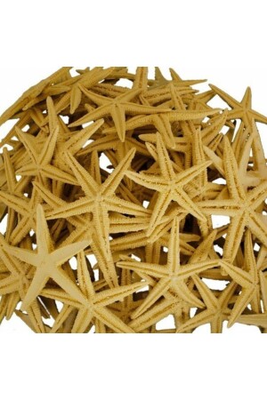 MNZ-بوليستر نجم البحر 100 قطعة حجم صغير أزياء أزياء نجم البحر 3-4 سم - Aker Hediyelik