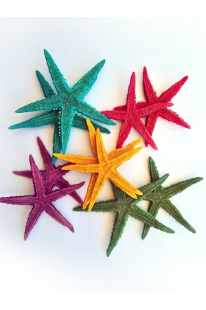 MNZ-حقيقي نجوم البحر 10-11 سم - لون مختلط - 10 قطع - Evinizdeki Okyanus Esintisi Turkuaz Hediyelik