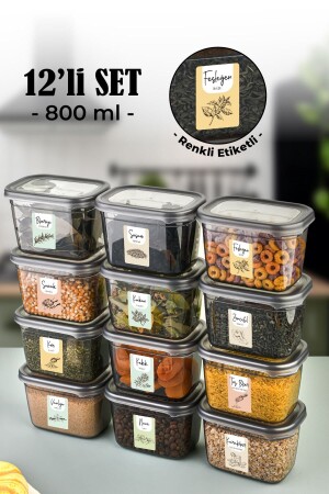 ملون MNZ مع علامة 12-قطعة Peggy مستطيل وعاء العقاقير مجموعة 800 مل انتراكيت VBRNKLPGGY12LI800 - Vienev