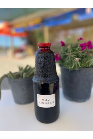 MNZ- جزيئات حشرية طبيعية من الخمر الأسود استنتاج 1400 غ 37 - KaradağDoğalÜrünler