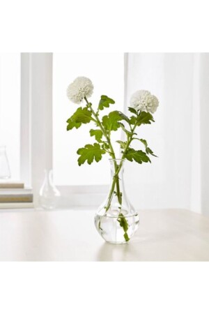 عبوة الزجاجية المزخرفة من MNZ - 17 سم - Ikea