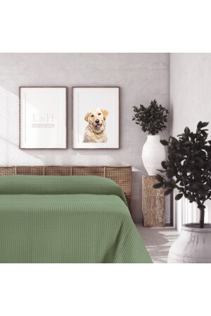 MNZ - مزدوجة - سرير 220 × 240 سم خضراء - Lucy And Home