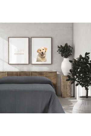 MNZ-نوم مزدوج، غطاء السرير 220x240 سم انتراكيت TYC00467827716 - Lucy and Home