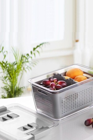 منظمة الثلاجة ذات تكييف الهواء MNZ و حاوية تخزين مع قسم الصفح 2.5 ليت kzrt10162256 - KOZART