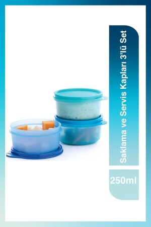 MNZ - حاويات التخزين والخدمة مجموعة من 3 250ml 11144680 - Tupperware