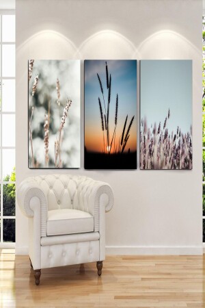 MNZ-طبيعة وغروب الشمس لوحات اللوحة مجموعة 3 DGAVEGNBT0129 - ColorVision