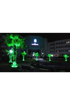 MNZ-خشب النخيل الإضاءة الضوء الطلاء الإضاءة الدائرة 35 سم TYC00792405877 - DOGRUP