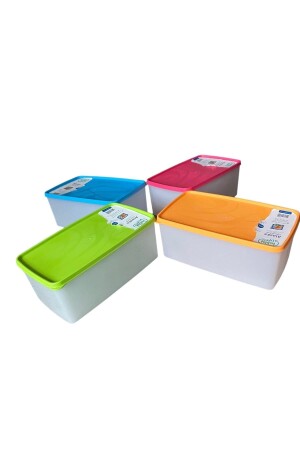 MNZ-هوبي الحياة 4 قطع ألاسكا لافروست حاوية تخزين كبيرة ثلاجة عميقة 3,5 ليت 11HHALASKA3,5L4AD - HOLLYHOME