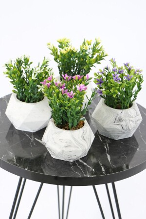 مصنع مصطنع من MNZ في بركة خرسانية مجموعة 4 نموذج 4 - Yapay Çiçek Deposu