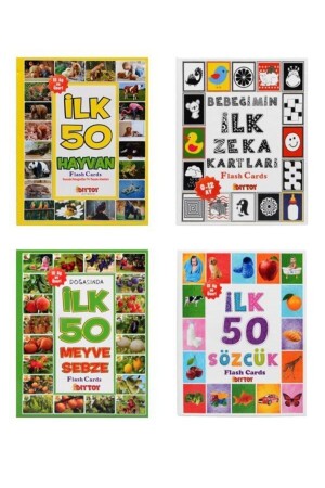 MNZ-أول بطاقات ذكاء طفلي مجموعة من 4 أولى - Diytoy