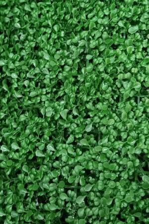 مصنع من خلال الجدران الاصطناعية من خلال MNZ - غطاء الجدران الصناعية من خلال الصفحة من الخشب 40x60 سم حديقة عمودية خضراء - DDTREND