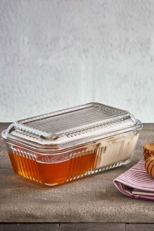 حاوية تخزين مشتركة من MNZ 480cc ثلاجة INT15. - Paşabahçe