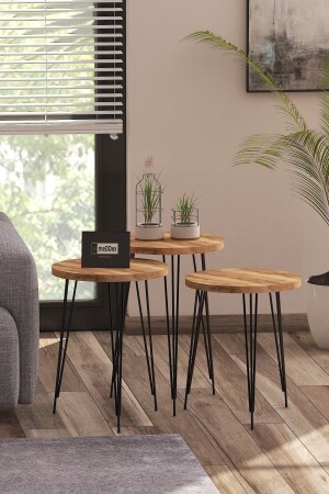 طاولة العشب MNZ - طاولة العشب ثلاث قطع 544545fg4848 - Peruma Home