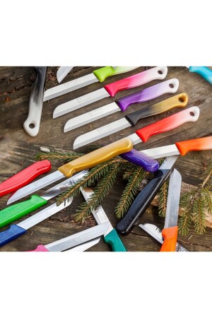 سكين من الفاكهة والخضروات المكثفة من MNZ 6 قطع 001 - Solingen