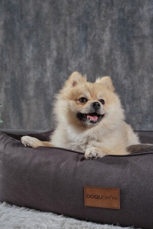 مقعد الحيوانات الأليفة من نوع MNZ 70 x 50 x 23 سم - أنتراتيت eh1 - Doqu Home