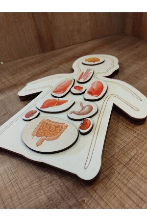 MNZ-أعضاء ملونة اللغز ankbtrnnk1 - Ankebut