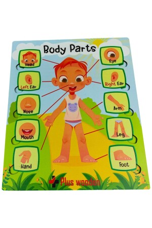 MNZ-العثور على وربط اللعبة التعليمية للأطفال لغز الجيش الجسم الأعضاء - Artı Dekor