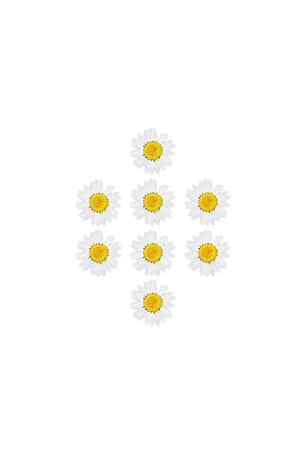 (MNZ) الجفاف (Daisy White) 8 قطع - Getshopmini