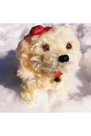 MNZ-كريم المشي والحلق الحلو بطارية تعمل كلب البلوش F355 - Mia