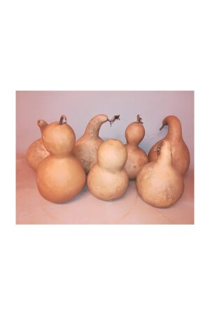 كالباش الخام MNZ مناسب للكشافة المتوسطة الحجم لصنع HAM001 - Alpha Tasarım Atölyesi