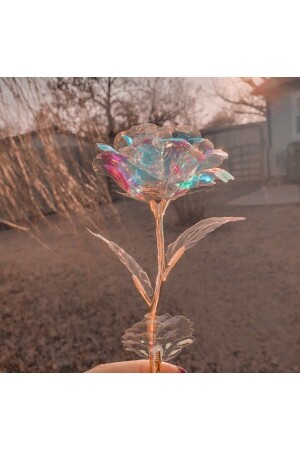 MNZ-خاصة عيد الحب واليوم الأم - الزهور الرائعة - Hkm Hobim