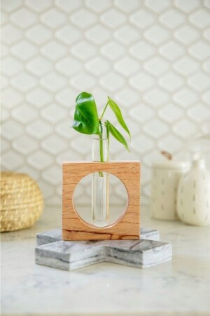 ميني فاصولية من الزجاج MNZ فاصولية من الزهور وعاء الأنبوب مع منصة خشب مربع - Lalezen Home